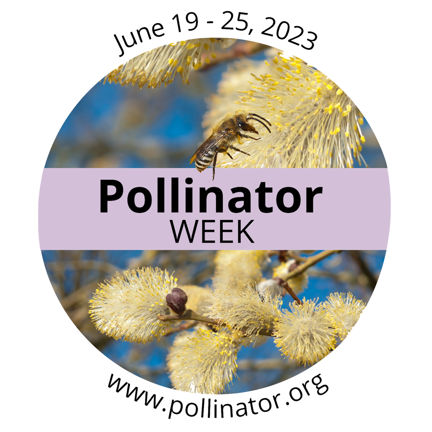 Pollinator Week informational logo, including the dates June 19-25, 2023 and the website www.pollinator.org.