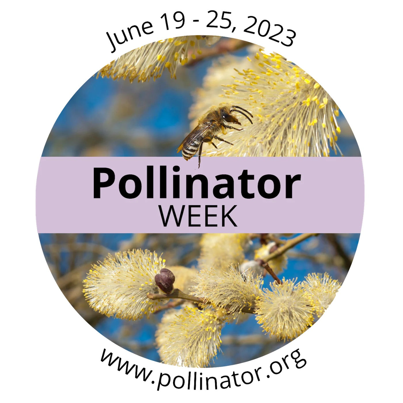 Pollinator Week informational logo, including the dates June 19-25, 2023 and the website www.pollinator.org.