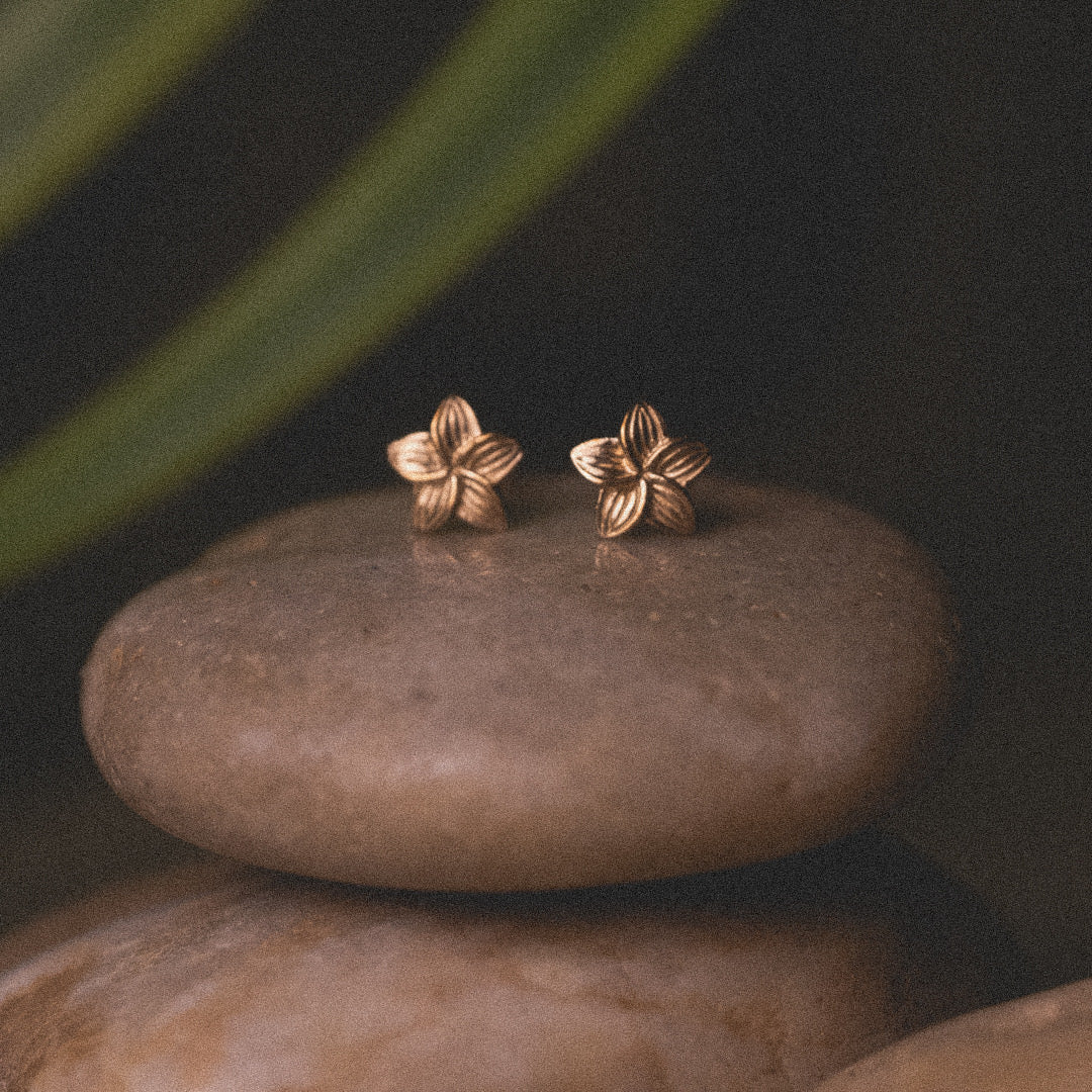 Whimsical solid gold plumeria earrings, displayed on river stone with green palm fronds in the background.