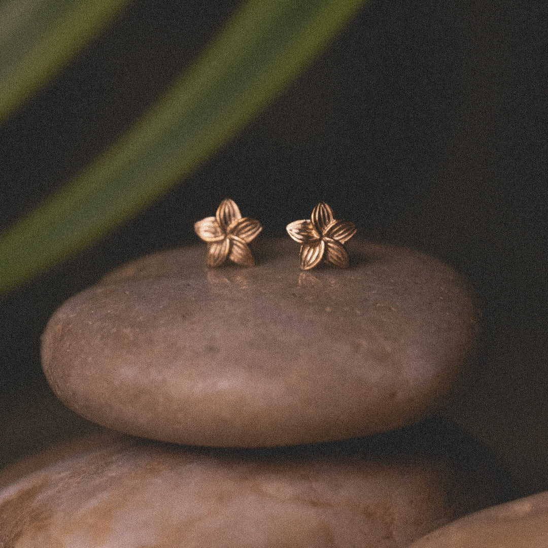 A pair of textured yellow gold mini plumeria stud earrings by Aiden Jae sitting on river stone with green palm frond in background.