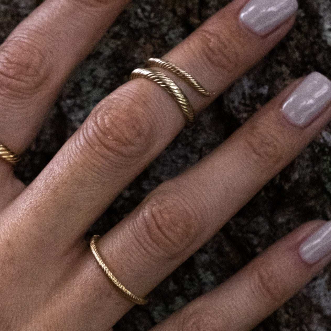 Coiled wrap ring and thin band ring in solid gold with twisted texture and minimalist design, worn on hand against tree bark.