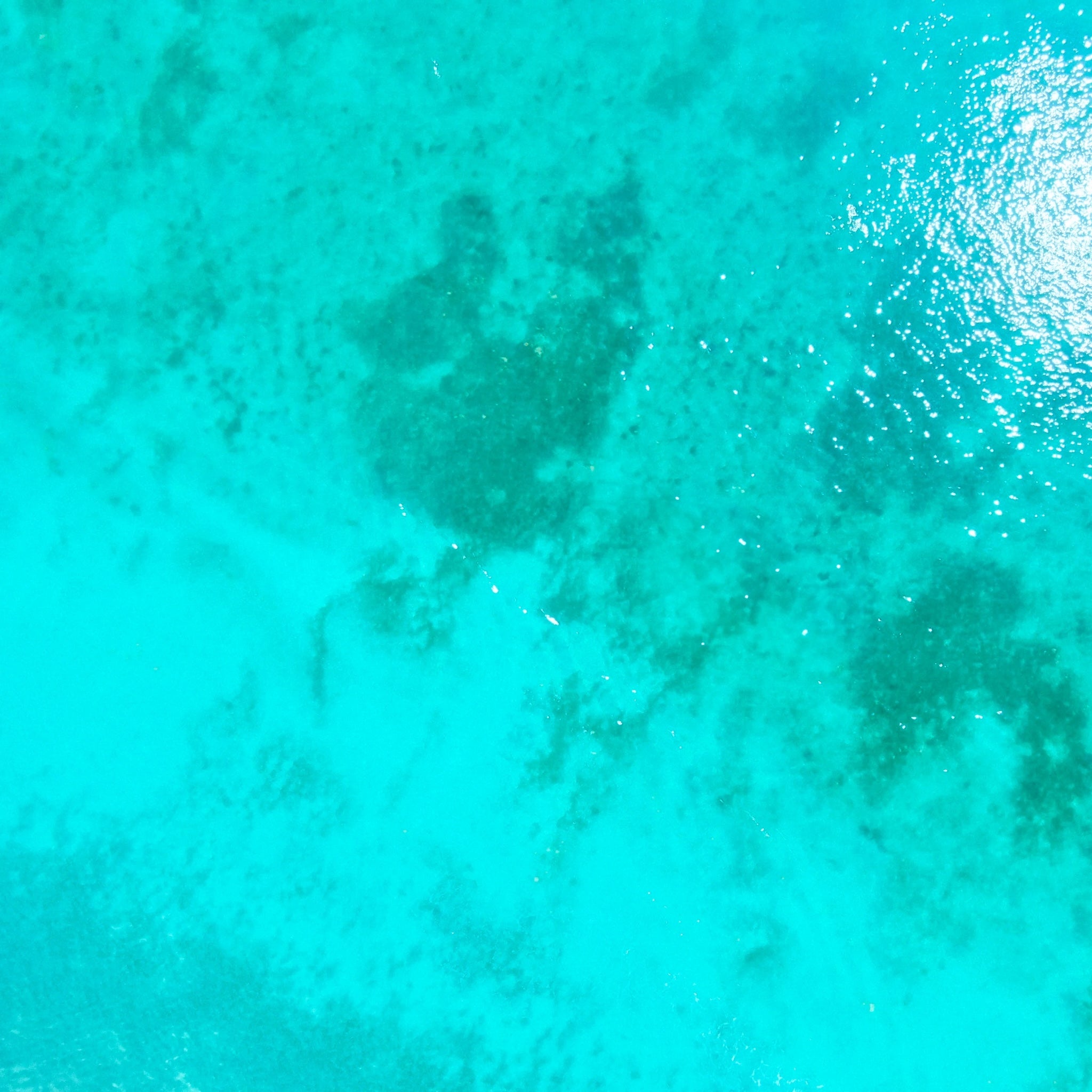 Vibrant blue-green waters of Islamorada in the Florida Keys, shimmering in the sun, natural color inspiration.