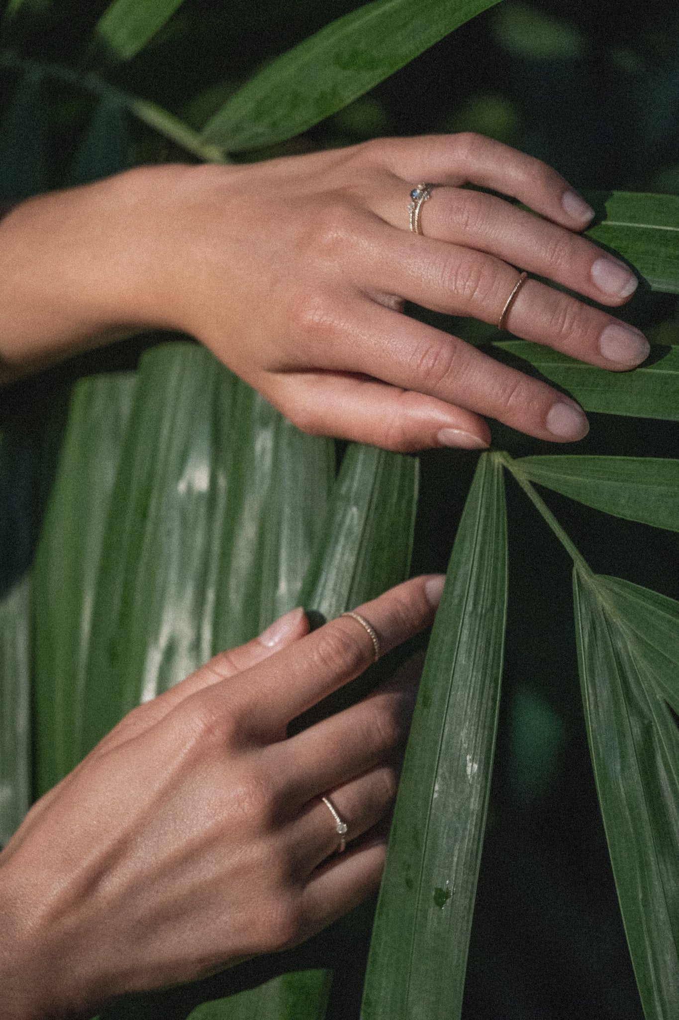 Hands wearing Aiden Jae's yellow gold, diamond, and gemstone rings and touching a green palm frond.