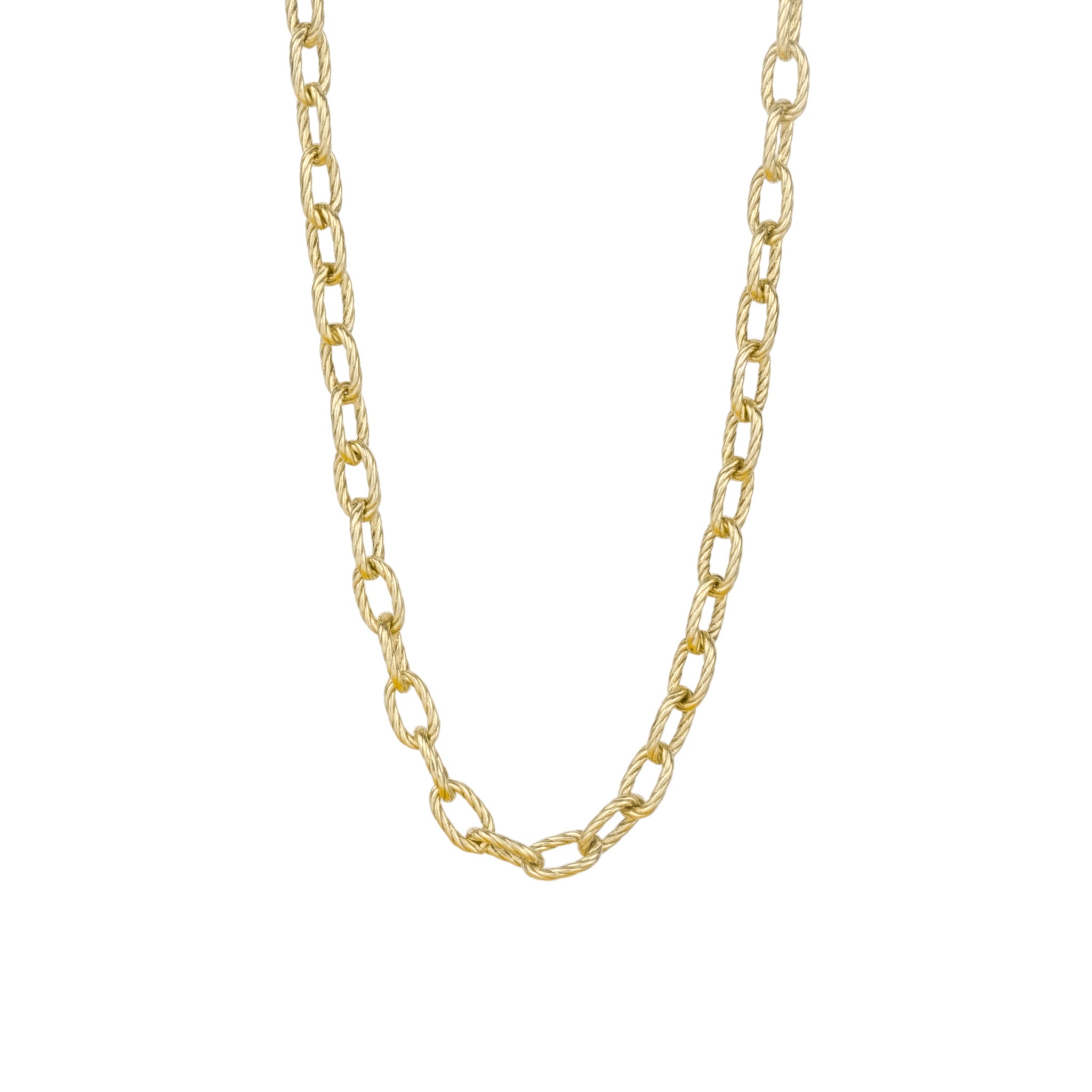 An Aiden Jae Banyan Cable Chain Necklace on a white background.
