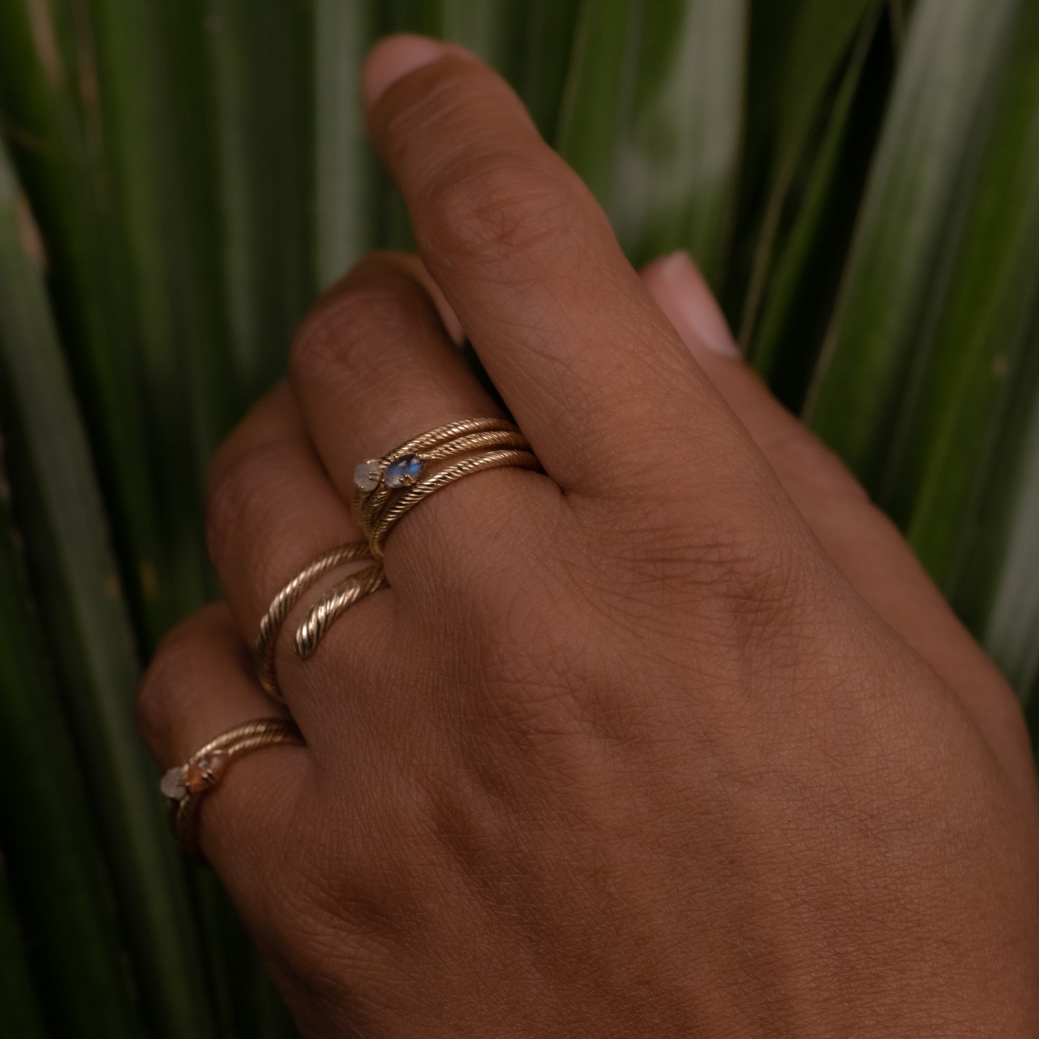 A woman's hand holding a plant with three Aiden Jae Sunset Rings on it.